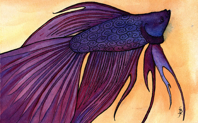 Betta