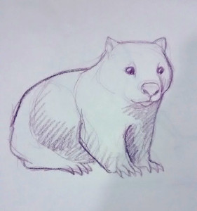 Purple Wombat